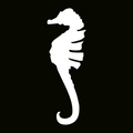 Glitter Tattoo Stencil -  Sea Horse
