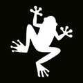 Glitter Tattoo Stencil - Frog