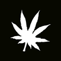 Glitter Tattoo Stencil - Leafs