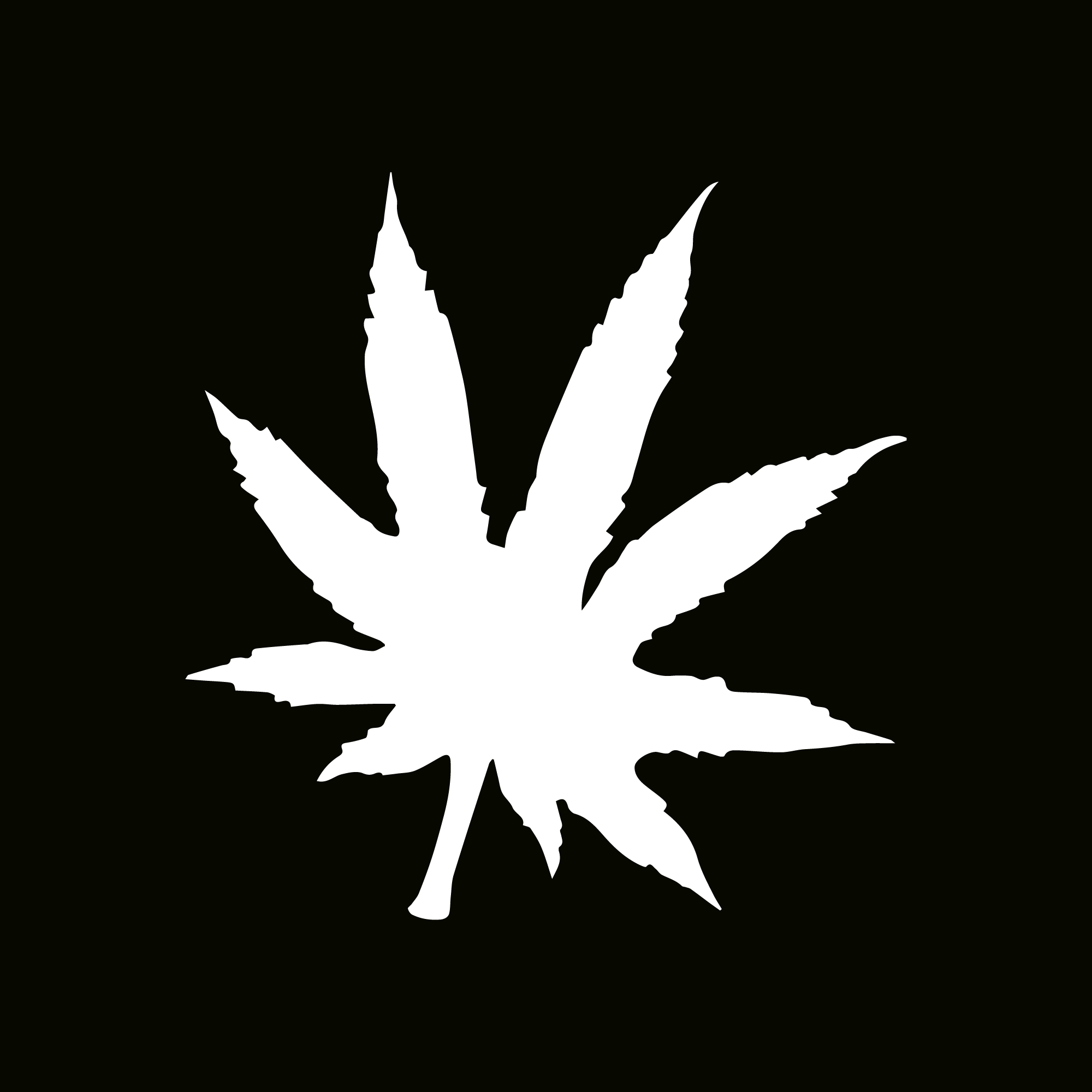 Glitter Tattoo Stencil - Leafs