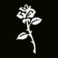 闪光纹身模板 - 绽放玫瑰