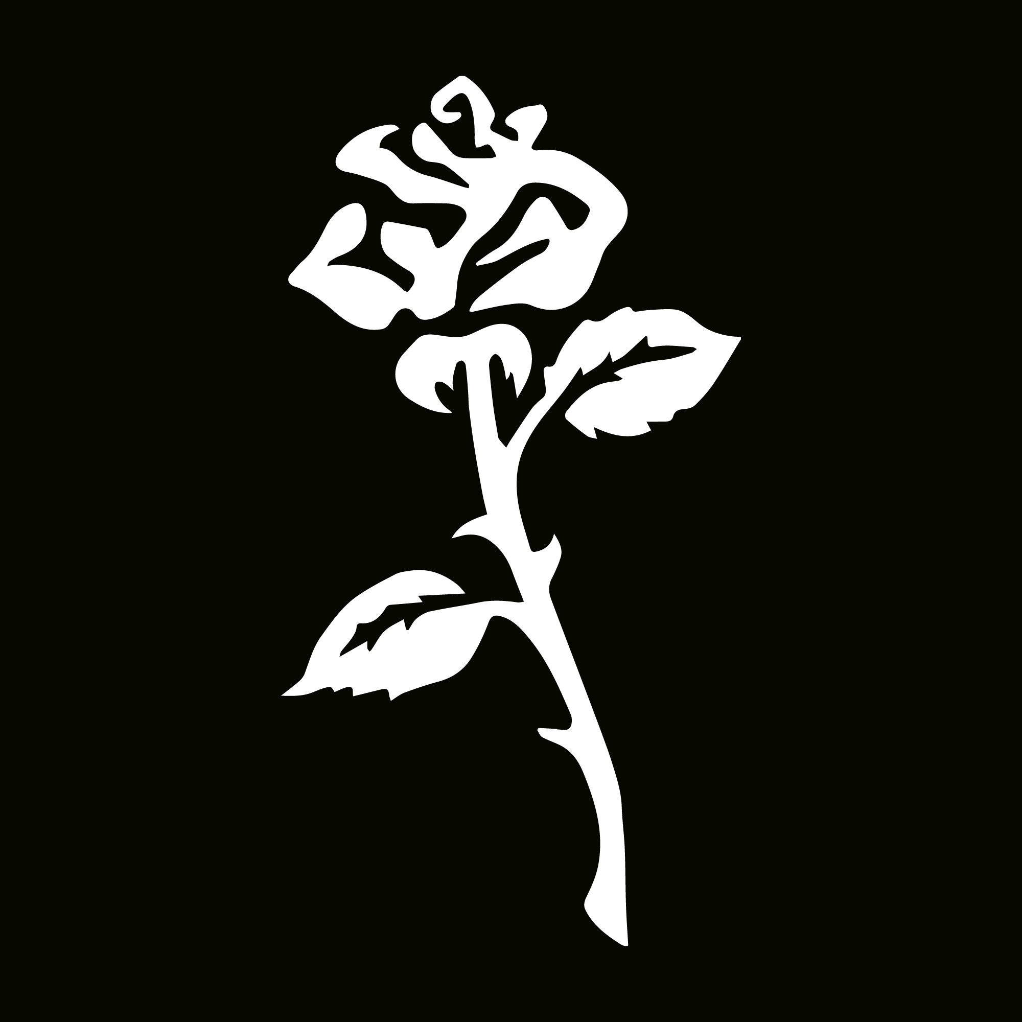 闪光纹身模板 - 绽放玫瑰